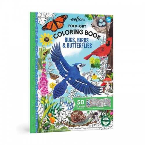 Bugs, Birds & Butterflies Fold-Out Color