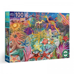 Seahorses, Sea Stars & Sea Slugs 100 Pz